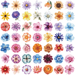 50PCS Florals Series Stickers