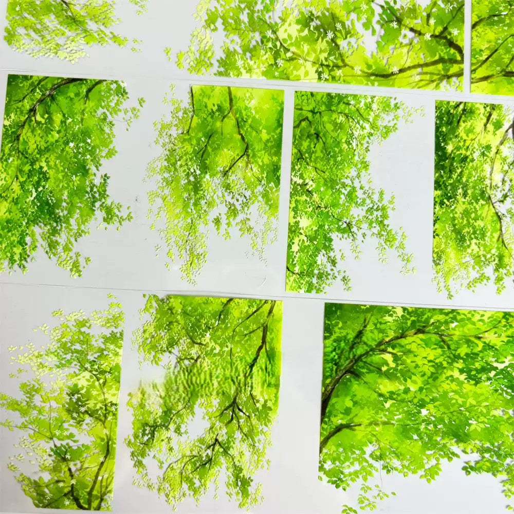 Lush Summer Trees One Cycle PET Tape