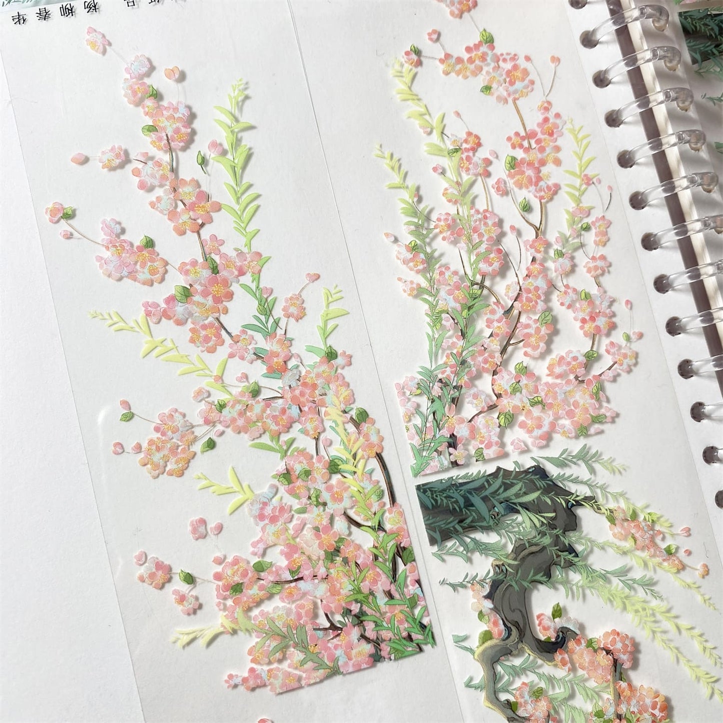 6cm*78cm Pink Willow One Cycle PET Tape