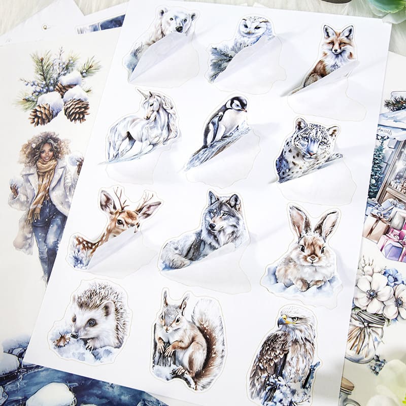 Ice and Snow World Sticker Book