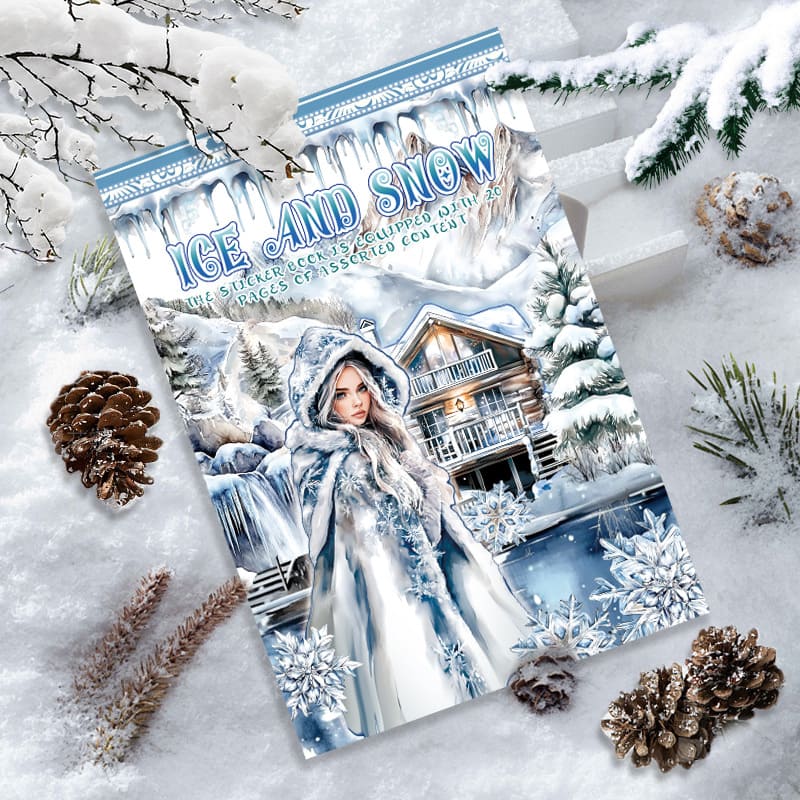 Ice and Snow World Sticker Book