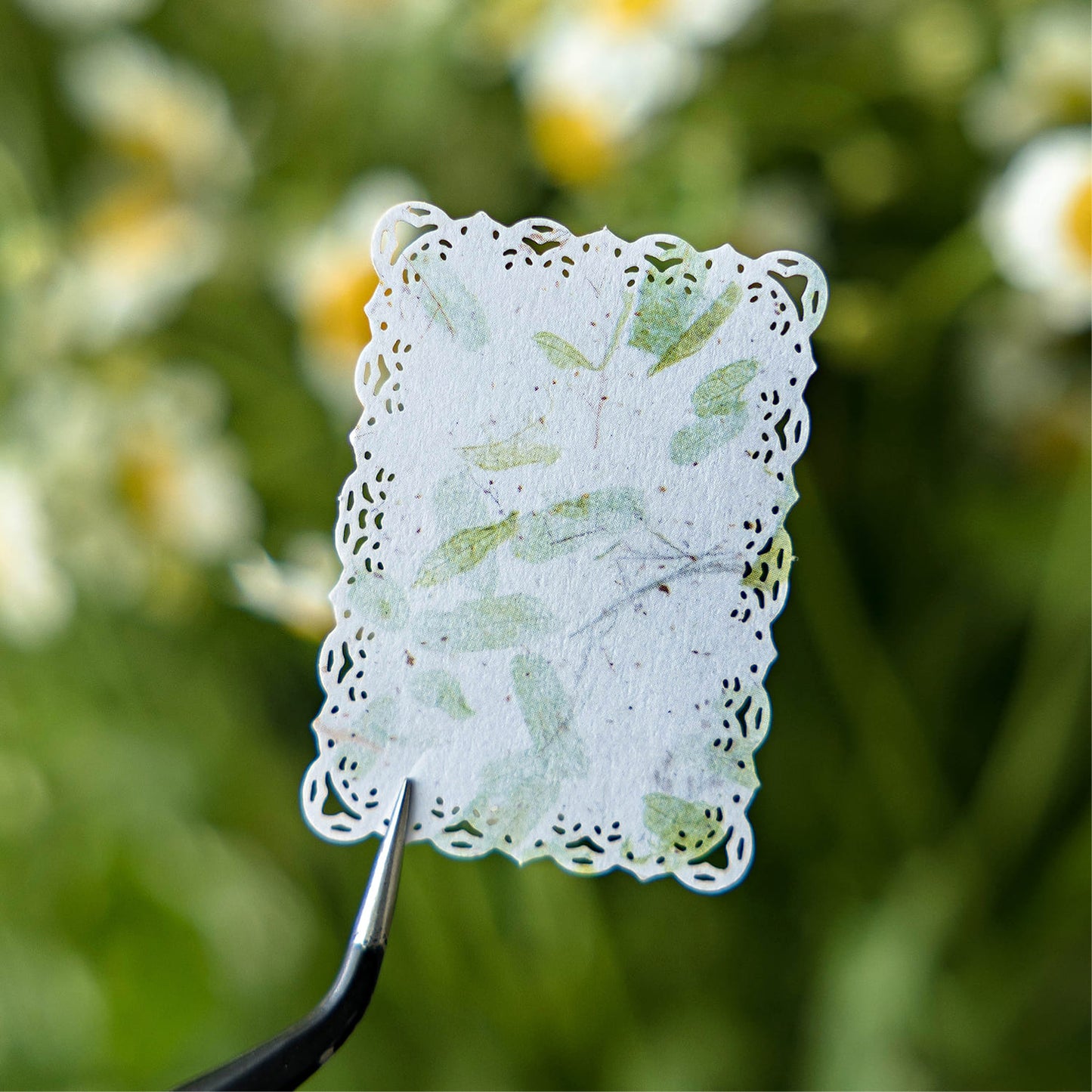 Lace Series Hollow Frame Material Pack