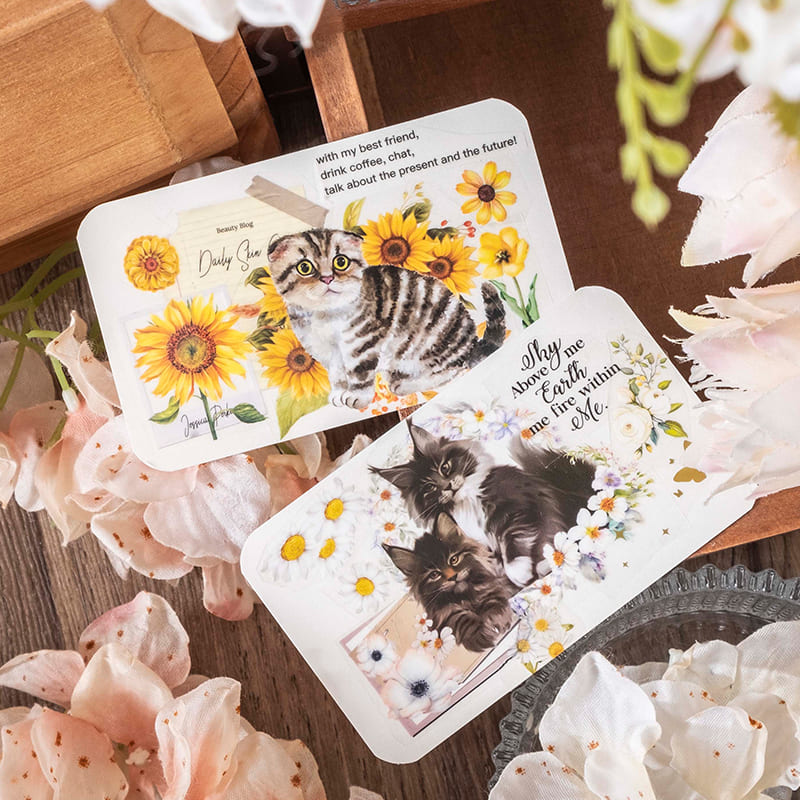 Cat Series Sticker Pack