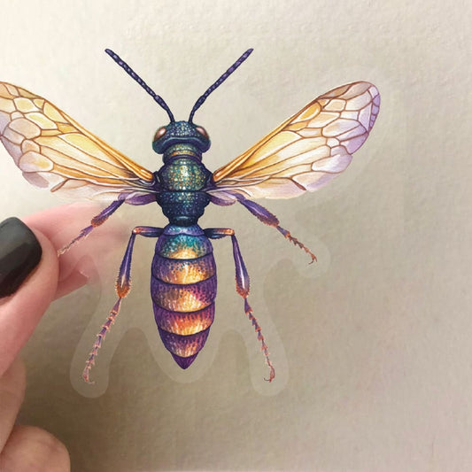 50PCS Insect Sticker Pack
