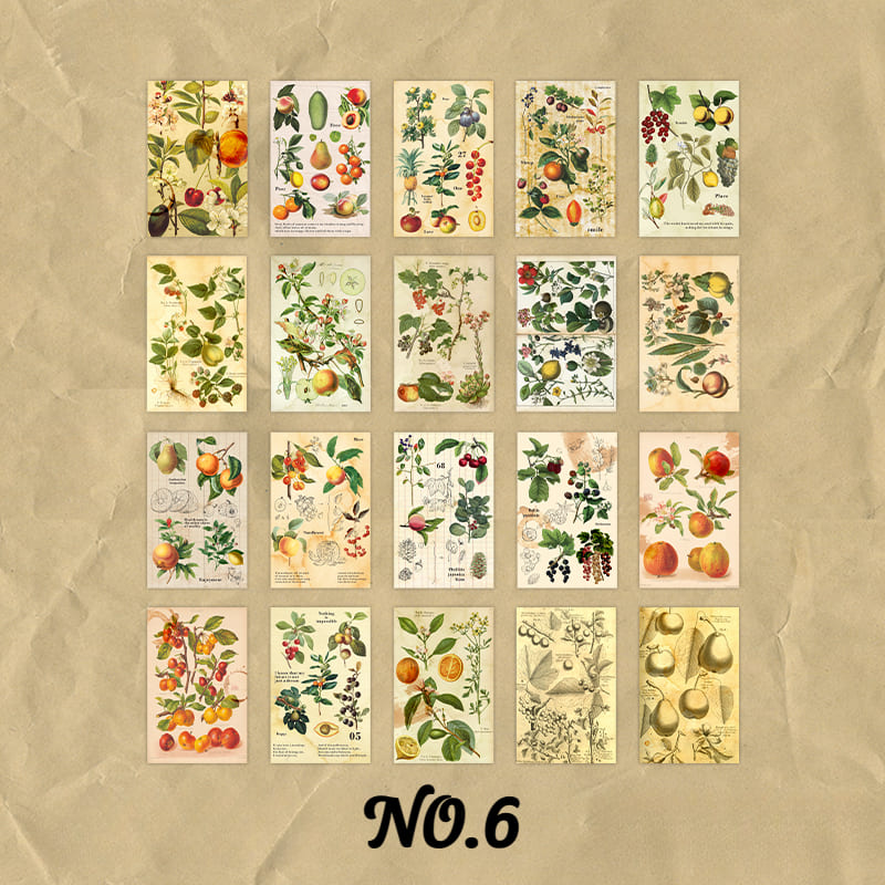 60PCS Nature Aesthetic Scrapbook Paper