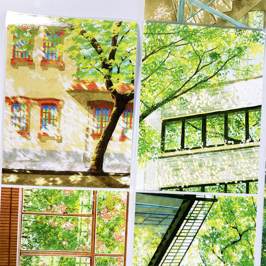 Afternoon Street One Cycle PET Tape