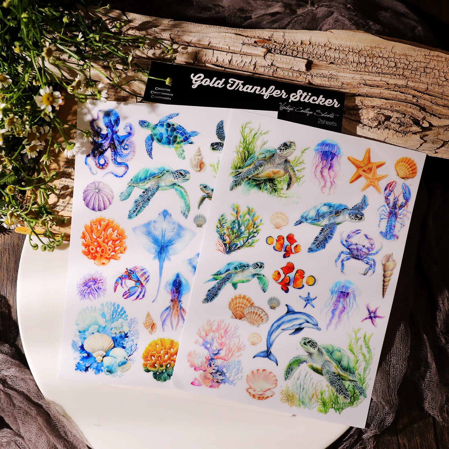 Underwater World Transfer Sticker