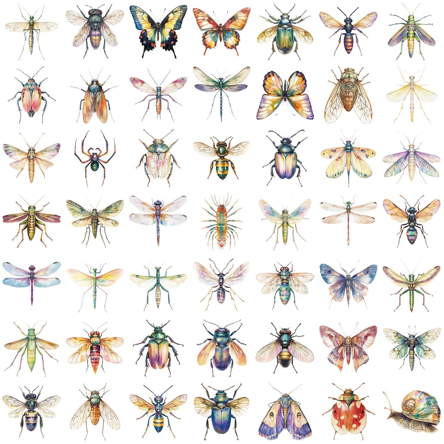 50PCS Insect Sticker Pack