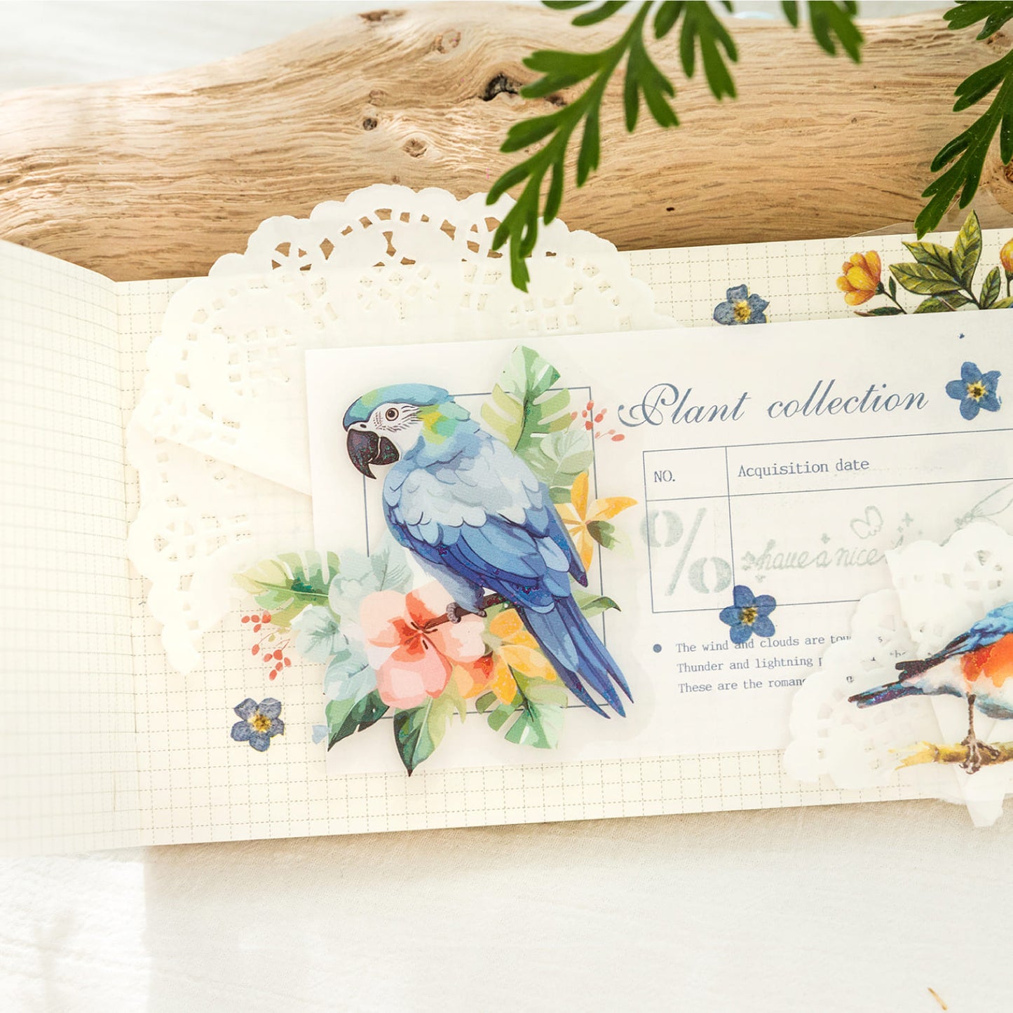 Bird Series Stickers