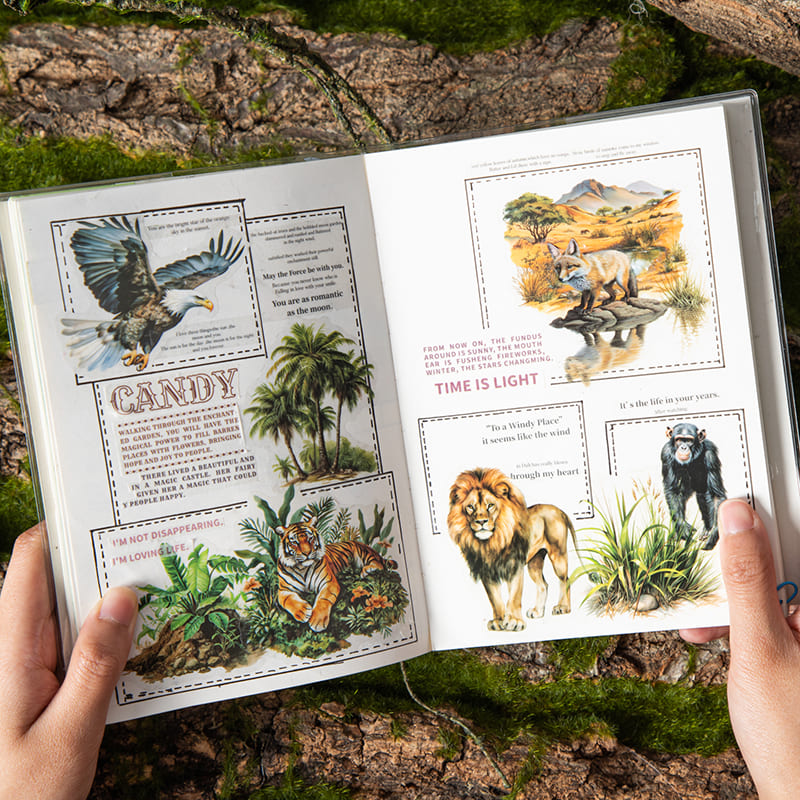 Jungle Adventure Series Sticker Pack
