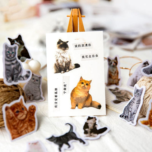 Vellum Cat Sticker Pack
