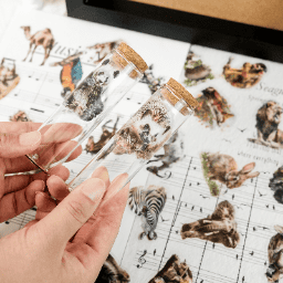 50PCS Animal Stickers Pack