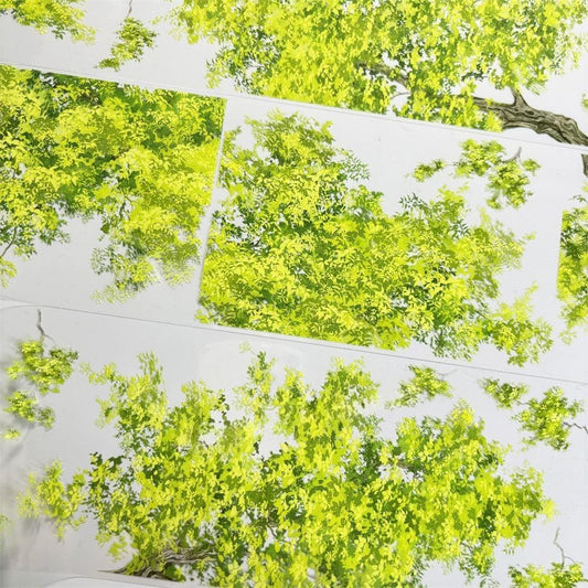 One Cycle Overhanging Tree Branches PET Tape