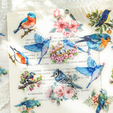 Bird Series Stickers