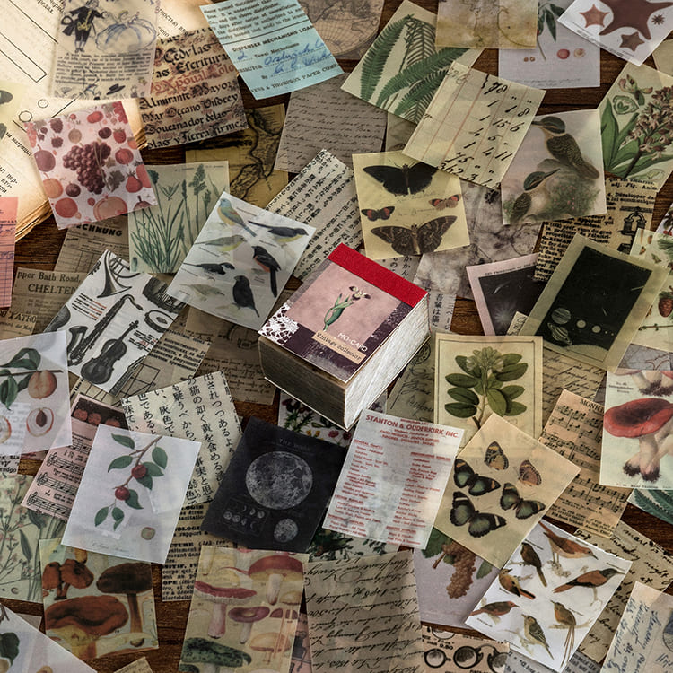 One Page a Day Scrapbook Paper