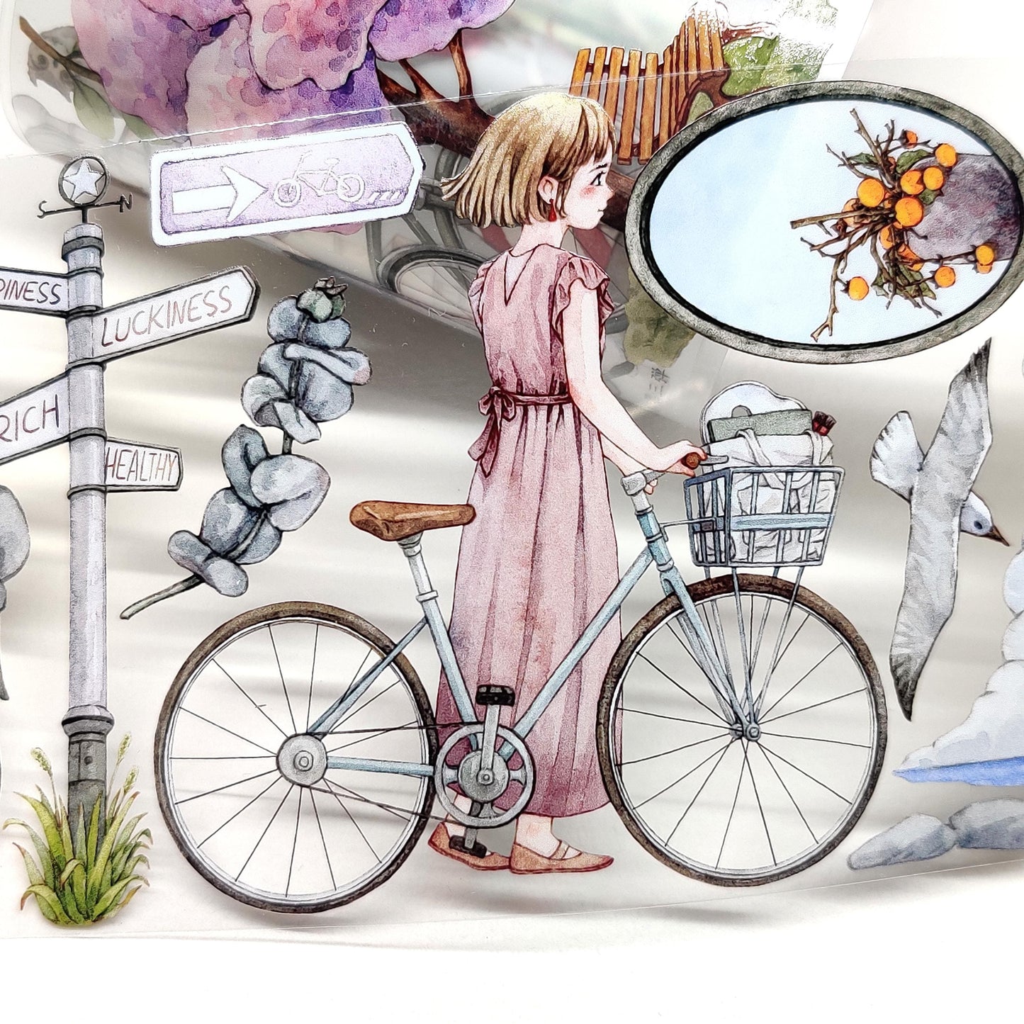 Cycling Time One Cycle PET Tape