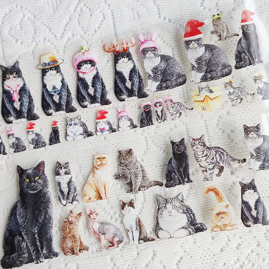 Cute Animal Theme One Cycle PET Tape