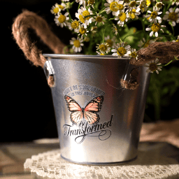 Butterflies Transfer Sticker