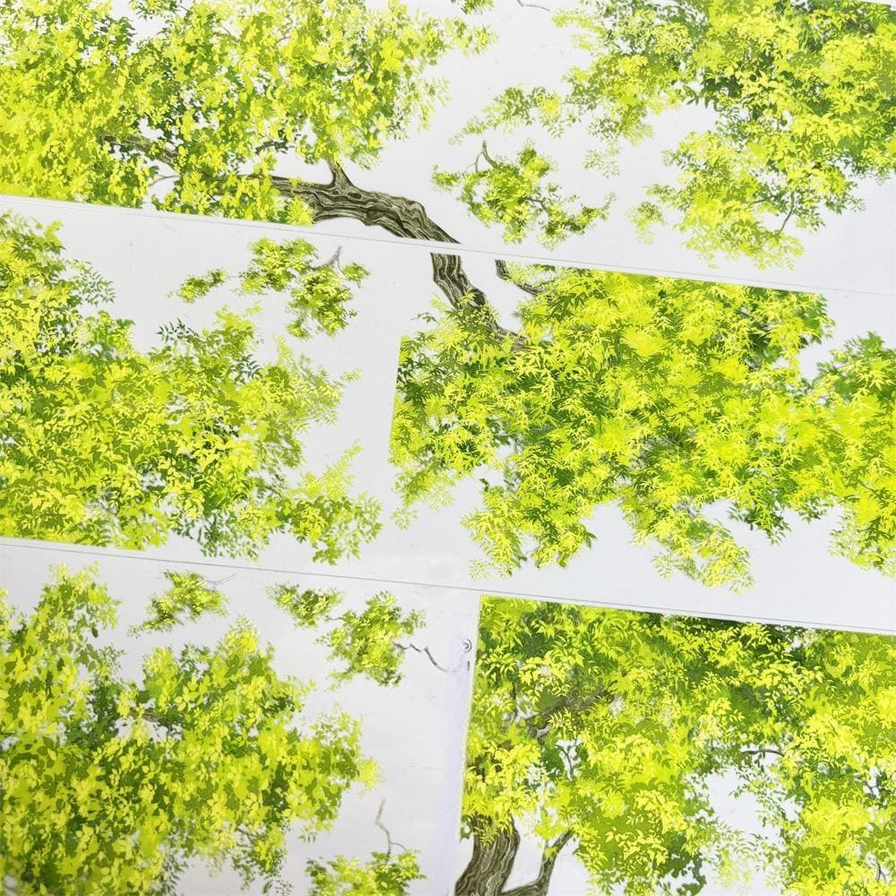 One Cycle Overhanging Tree Branches PET Tape