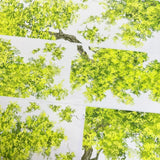 One Cycle Overhanging Tree Branches PET Tape