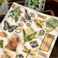 Plant Series Transfer Stickers