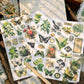 Plant Series Transfer Stickers