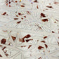 6cm*100cm Broken Glass One Cycle PET Tape