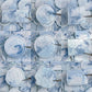 Blue Series Wax Seal Stickers