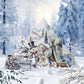 Ice and Snow World Sticker Book