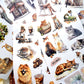Kitten Caf¨¦ Sticker Book