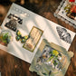Plant Series Transfer Stickers