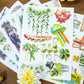 St.Patrick's Day Sticker Book