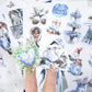 Ice and Snow World Sticker Book