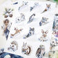 Ice and Snow World Sticker Book