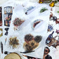 Celebration Party Sticker Book