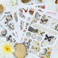 Base Layer Series Sticker Book