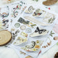 Base Layer Series Sticker Book