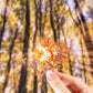 50PCS Seasonal Trees Sticker Pack