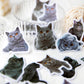 Vellum Cat Sticker Pack