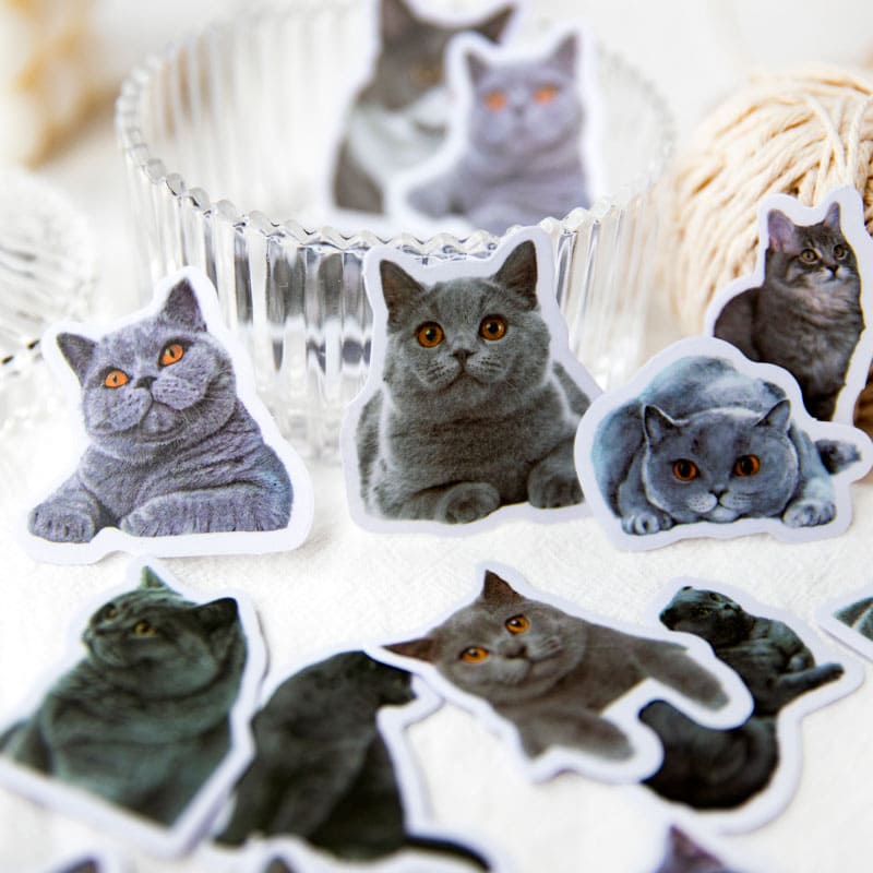 Vellum Cat Sticker Pack
