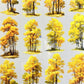 Fall Foliage Tree Tape (One Cycle)