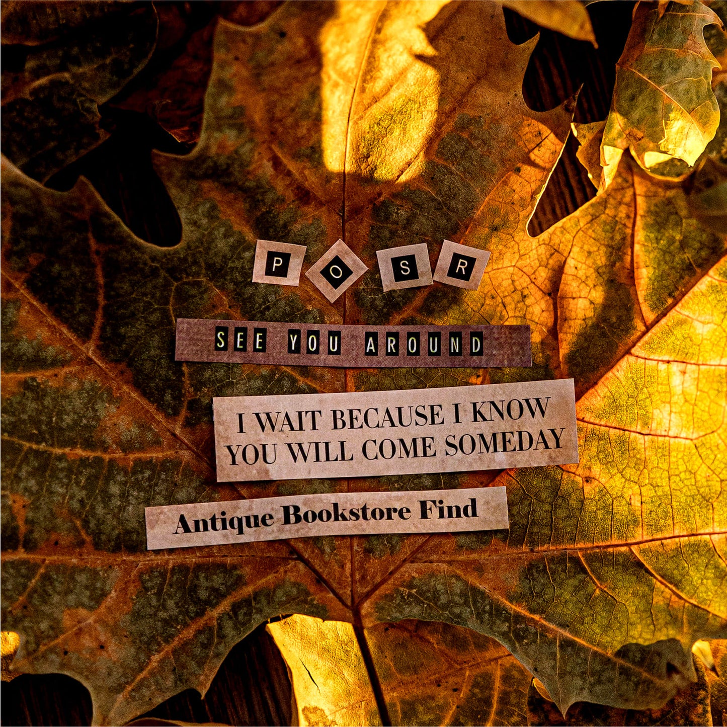 Typography Die-Cut Washi Tape