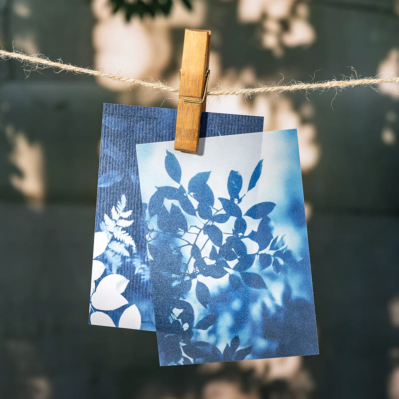 Blue Botanical Scrapbook Paper Pack
