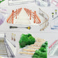 One Cycle Staircase Pattern PET Tape
