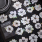 White Flower Stickers