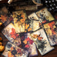 Flower Series Scrapbook Paper
