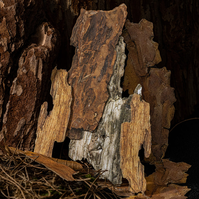 Natural Texture Sticker Pack