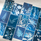 Blue Botanical Scrapbook Paper Pack