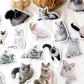 Vellum Cat Sticker Pack