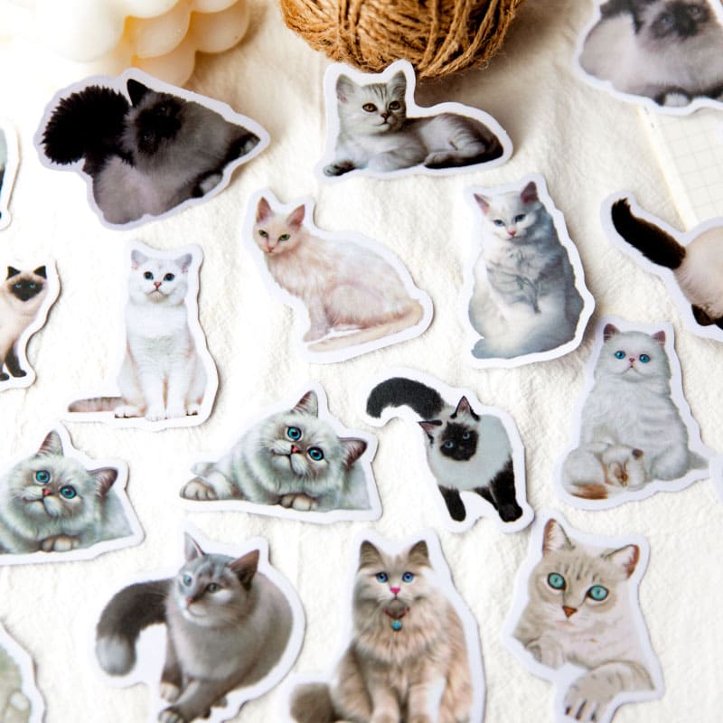Vellum Cat Sticker Pack